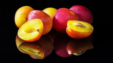 Sudah Tahu? Ini 5 Manfaat Tersembunyi Buah Plum untuk Kesehatan