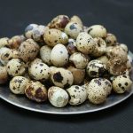 5 Manfaat Telur Puyuh untuk Kesehatan yang Belum Banyak Diketahui