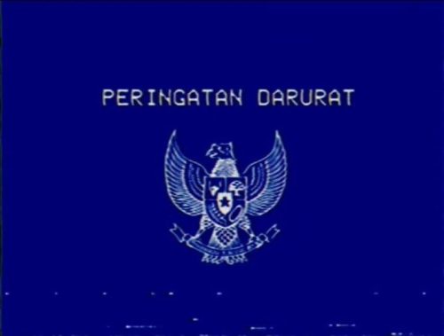 Ini Makna Warna Pink, Hijau, dan Biru yang Viral Jadi Simbol Perlawanan Rakyat Indonesia