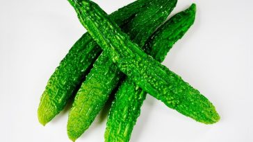 5 Manfaat Pare yang Belum Banyak Diketahui, dari Stabilkan Gula Darah hingga Jaga Kesehatan Jantung