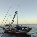 Deretan Negara yang Kecam Penangkapan Aktivis Global Sumud Flotilla yang Berlayar Menuju Gaza