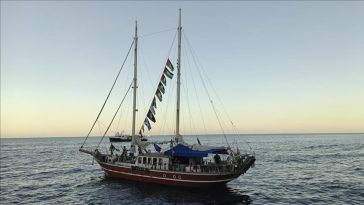 Deretan Negara yang Kecam Penangkapan Aktivis Global Sumud Flotilla yang Berlayar Menuju Gaza