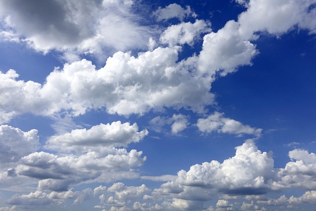 WMO: Tingkat Karbon Dioksida di Atmosfer Bumi Capai Rekor Tertinggi