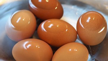 4 Menu Sarapan dengan Telur yang Bisa Bantu Kecilkan Perut Buncit