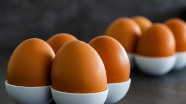 Ini 4 Cara Mengetahui Telur Busuk yang Sudah Tak Layak Konsumsi