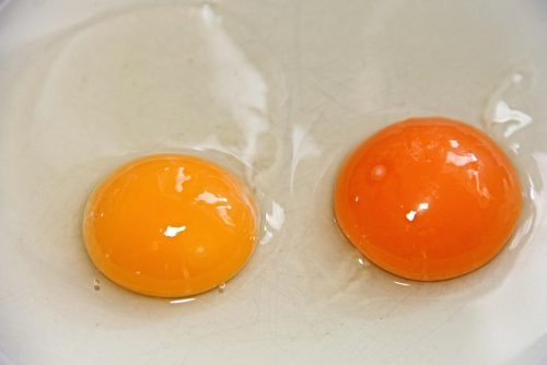 Jangan Konsumsi 5 Makanan Ini Bersama dengan Nanas, Ini Bahayanya!