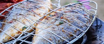 Meski Menyehatkan, Ini 6 Alasan Jangan Konsumsi Ikan Berlebihan