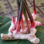 5 Manfaat Lengkuas untuk Kesehatan, Termasuk Melawan Sel Kanker