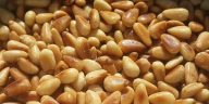 9 Manfaat Kacang Pinus, dari Turunkan Gula Darah hingga Jaga Jantung
