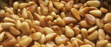 9 Manfaat Kacang Pinus, dari Turunkan Gula Darah hingga Jaga Jantung