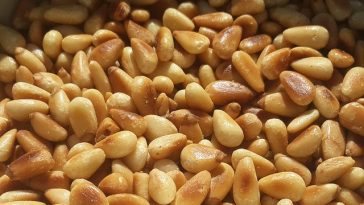 9 Manfaat Kacang Pinus, dari Turunkan Gula Darah hingga Jaga Jantung