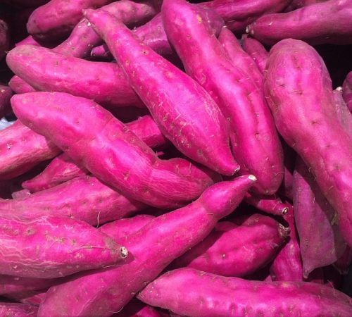 Inilah 5 Jenis Makanan yang Dikonsumsi Orang Jepang Berumur Panjang