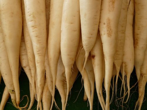 Inilah 5 Jenis Makanan yang Dikonsumsi Orang Jepang Berumur Panjang