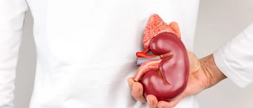 5 Gejala Kerusakan Ginjal di Pagi Hari yang Tak Boleh Diabaikan