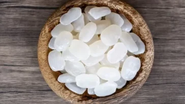 Apakah Makan Kolang-kaling Berbahaya? Simak Penjelasannya Berikut