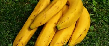 Rutin Konsumsi Pisang Setiap Pagi, Rasakan 6 Manfaat Berikut!