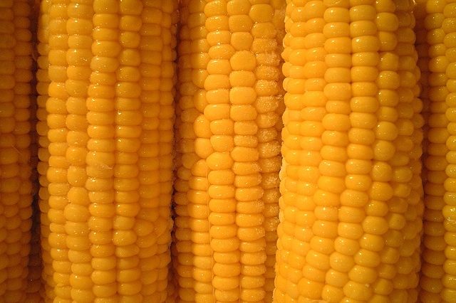 Selain Bantu Turunkan BB, Ini Deretan Manfaat Jagung Rebus untuk Kesehatan