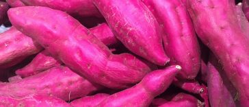 Kenali Jenis-jenis Kentang Paling Sehat yang Wajib Masuk Menu Harian