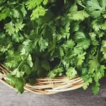 Selain Buat Masak, Ini 7 Manfaat Daun Ketumbar untuk Kesehatan