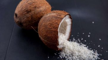 Jangan Buru-buru Dibuang, Ini 6 Manfaat Ampas Kelapa yang Perlu Diketahui