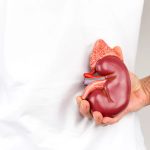 5 Kebiasaan Pagi Hari Ini Ternyata Diam-Diam Bisa Merusak Ginjal