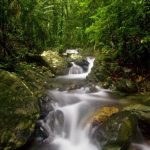 5 Negara dengan Taman Nasional Terbanyak, Australia Nomor Satu!