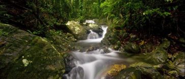 5 Negara dengan Taman Nasional Terbanyak, Australia Nomor Satu!