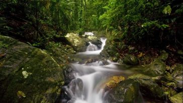 5 Negara dengan Taman Nasional Terbanyak, Australia Nomor Satu!