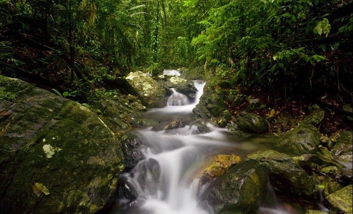 5 Negara dengan Taman Nasional Terbanyak, Australia Nomor Satu!