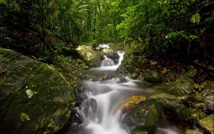 5 Negara dengan Taman Nasional Terbanyak, Australia Nomor Satu!