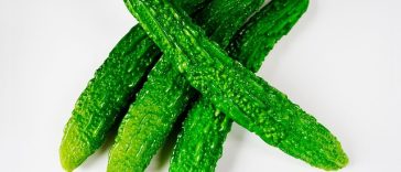 Rasanya Memang Pahit tapi Ini 7 Khasiat Pare yang Perlu Diketahui