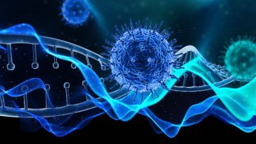 Mengenal Virus Nipah, Penyakit Zoonosis Mematikan Tanpa Vaksin