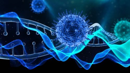 Mengenal Virus Nipah, Penyakit Zoonosis Mematikan Tanpa Vaksin