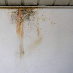 Inilah 5 Cara Atasi Tembok Lembap dan Basah saat Musim Hujan