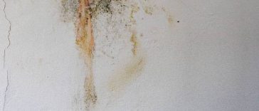 Inilah 5 Cara Atasi Tembok Lembap dan Basah saat Musim Hujan