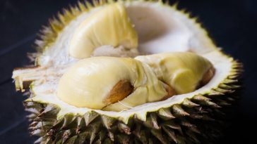 7 Makanan Ini Sebaiknya Tidak Dikonsumsi Bersama Durian dan Penjelasannya