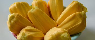 Meski Enak, Makan Biji Nangka Rebus Bisa Picu 5 Efek Samping Ini