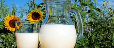 Ini 4 Alternatif Pengganti Susu Sapi, Cocok buat Penderita Alergi