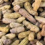 Berapa Lama Mengukus Kacang Tanah agar Empuk Sempurna? Simak Tahapannya!