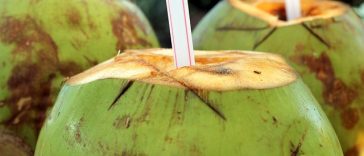 Benarkah Air Kelapa Bermanfaat untuk Mengatasi Asam Lambung? Ini Penjelasannya