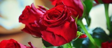 Inialh Daftar Negara yang Larang Warganya Rayakan Hari Valentine