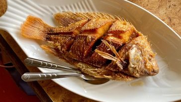 8 Makanan Ini Tidak Boleh Dimakan Saat Gatal-gatal, Bisa Bikin Tambah Parah