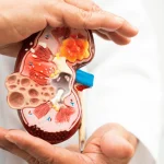 10 Tanda Penyakit Ginjal yang Sering Tak Disadari, Termasuk Urine Berbusa