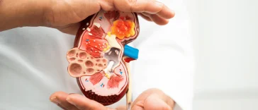 10 Tanda Penyakit Ginjal yang Sering Tak Disadari, Termasuk Urine Berbusa