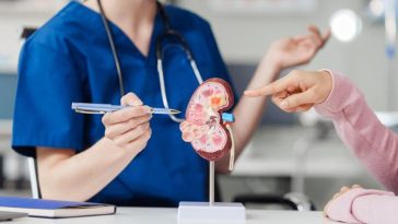 Ketahui 5 Gejala Awal Penyakit Ginjal, Banyak Orang Mengabaikan