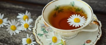 Inilah 8 Minuman Terbaik di Malam Hari untuk Bantu Turunkan Berat Badan