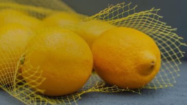 Inilah Deretan Makanan yang Punya Kandungan Vitamin C Lebih Tinggi dari Lemon