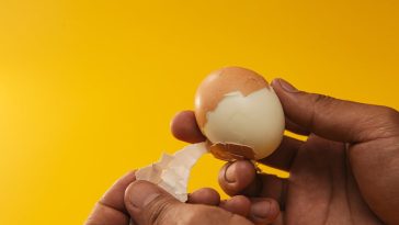 Trik merebus telur: Ilustrasi telur rebus matang sempurna yang dikupas dengan mulus