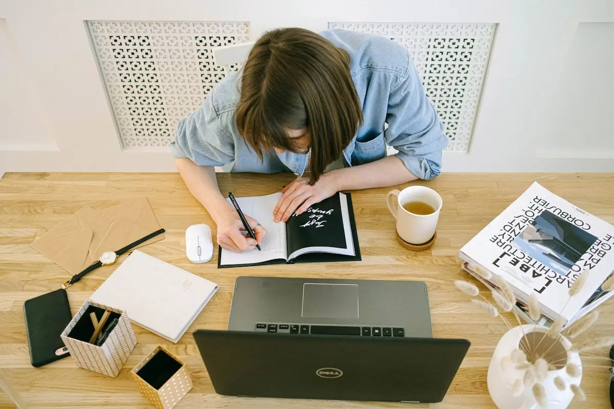 Jalur karier alternatif freelance untuk fresh graduate selain kerja kantoran