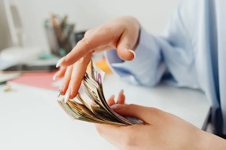 Dana darurat dan perencanaan risiko finansial untuk sumber pendapatan portfolio career